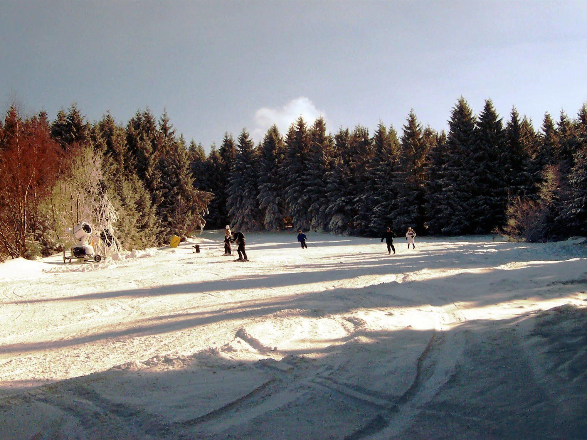 Hotel Berghof Am See Lautenthal エクステリア 写真