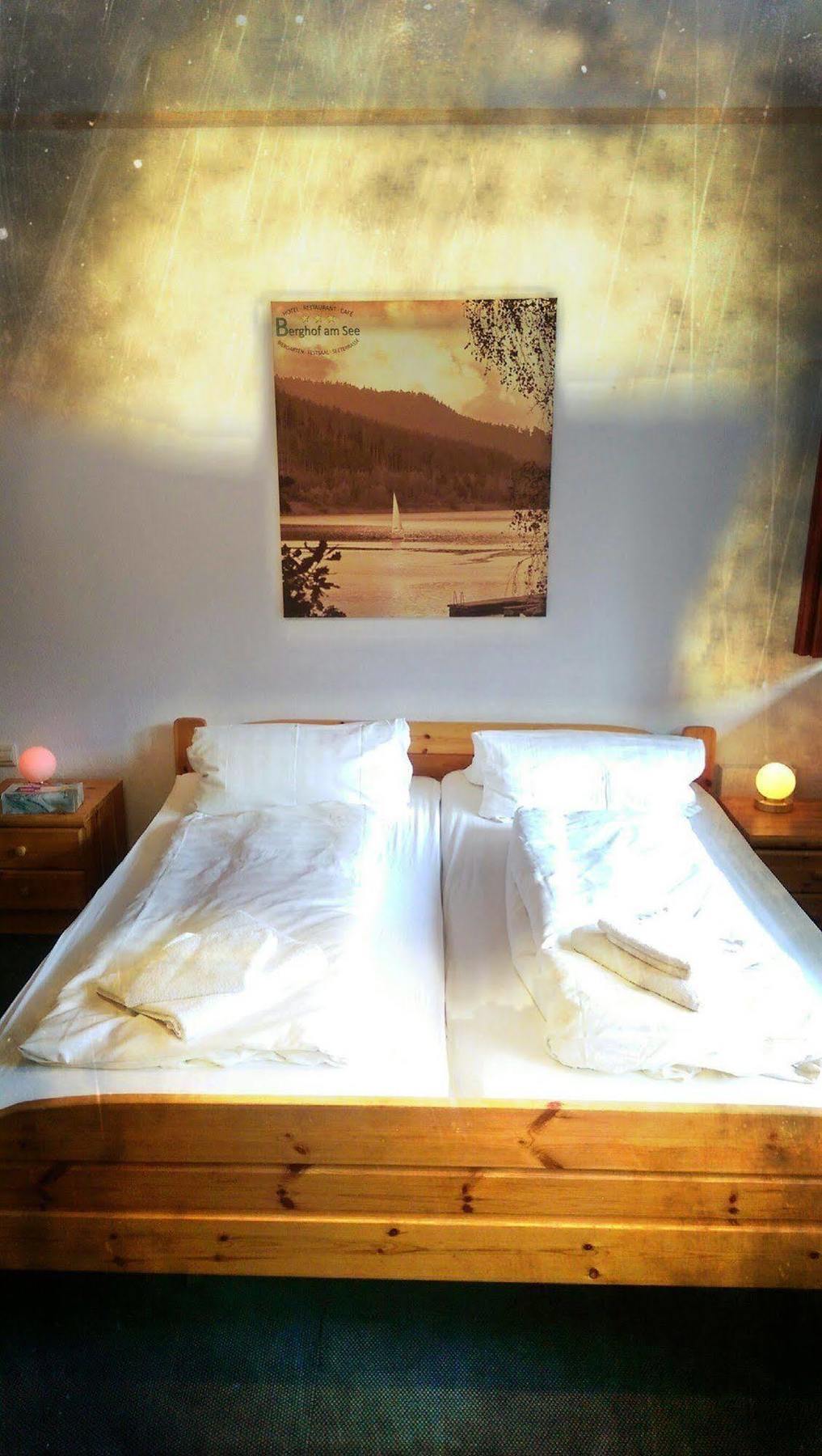 Hotel Berghof Am See Lautenthal エクステリア 写真