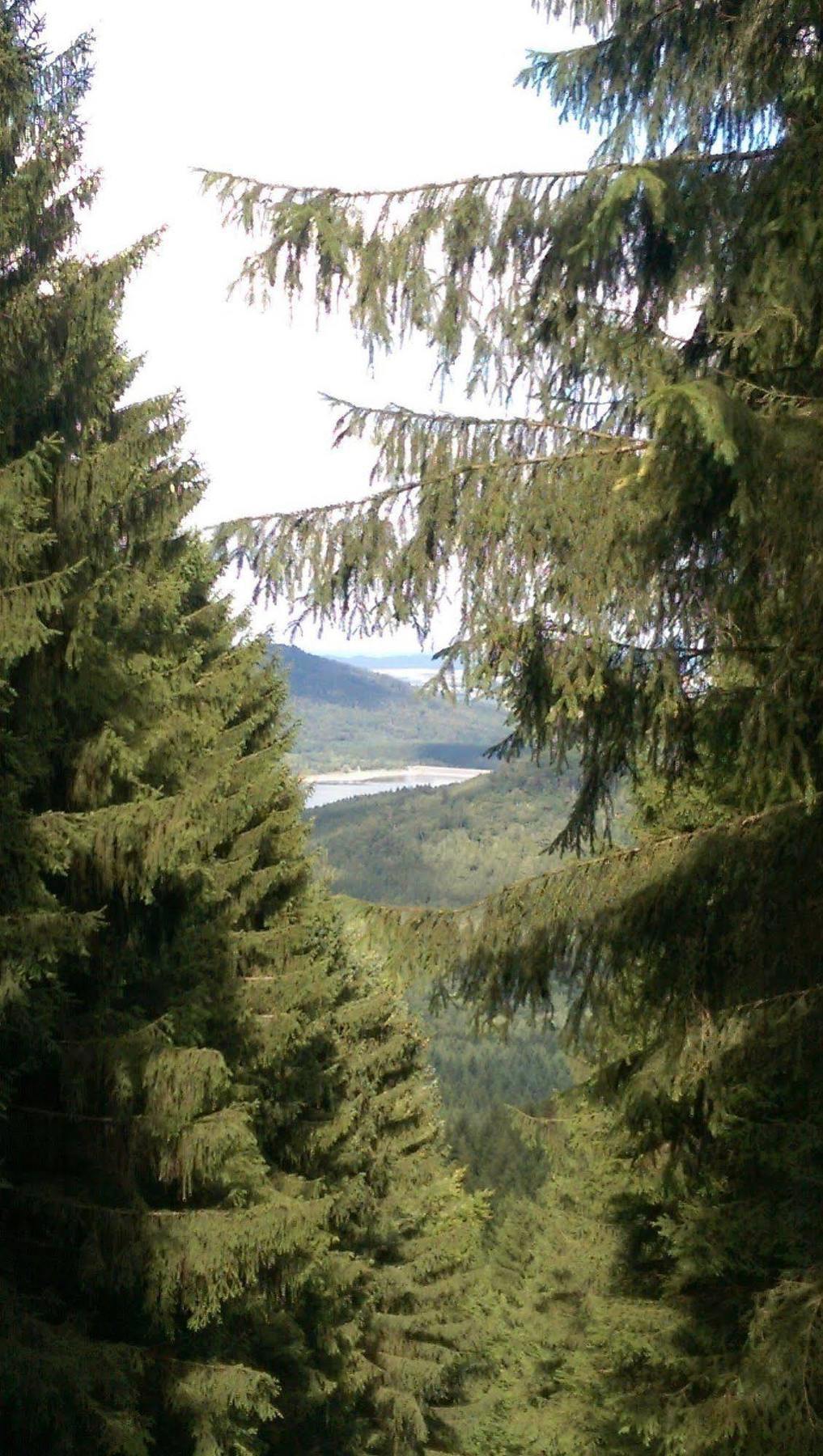 Hotel Berghof Am See Lautenthal エクステリア 写真
