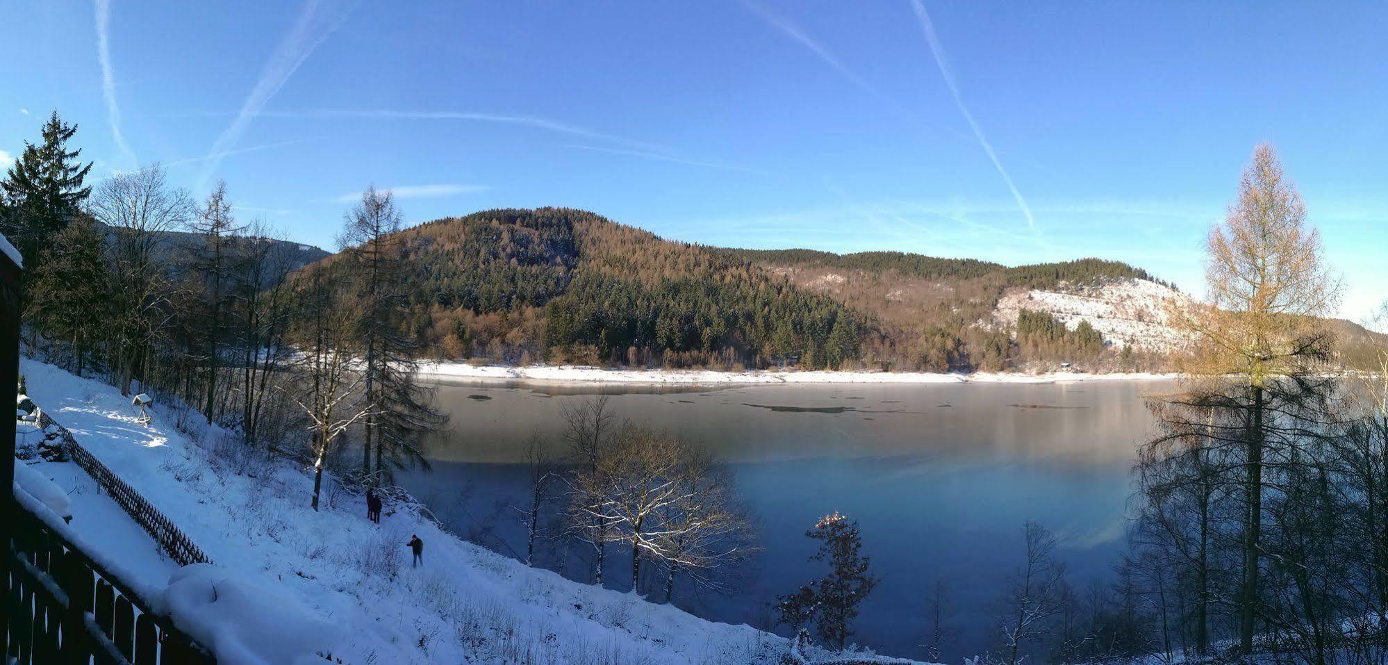 Hotel Berghof Am See Lautenthal エクステリア 写真