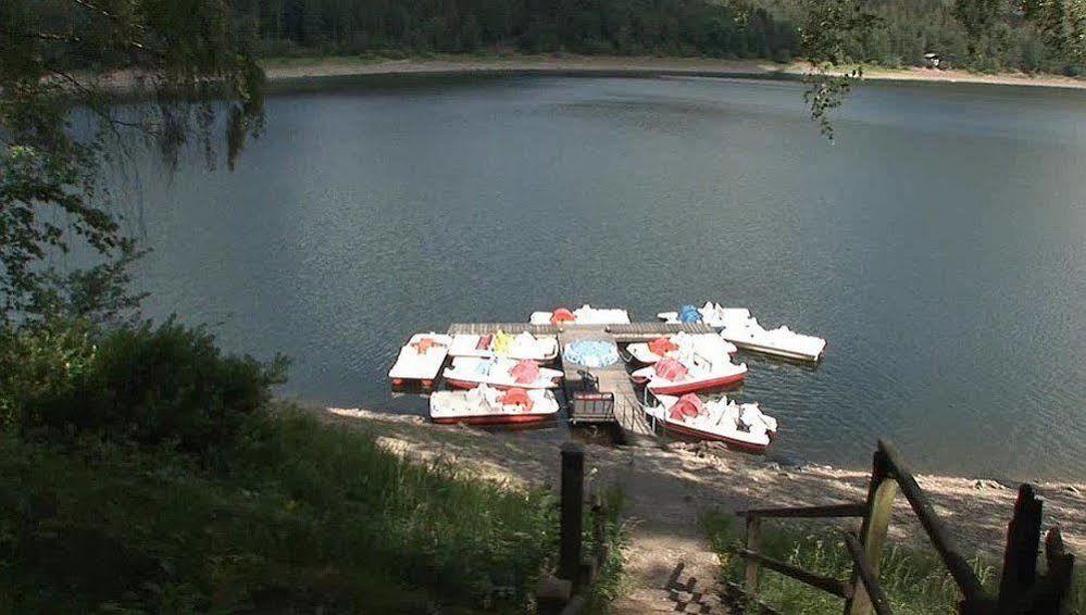 Hotel Berghof Am See Lautenthal エクステリア 写真