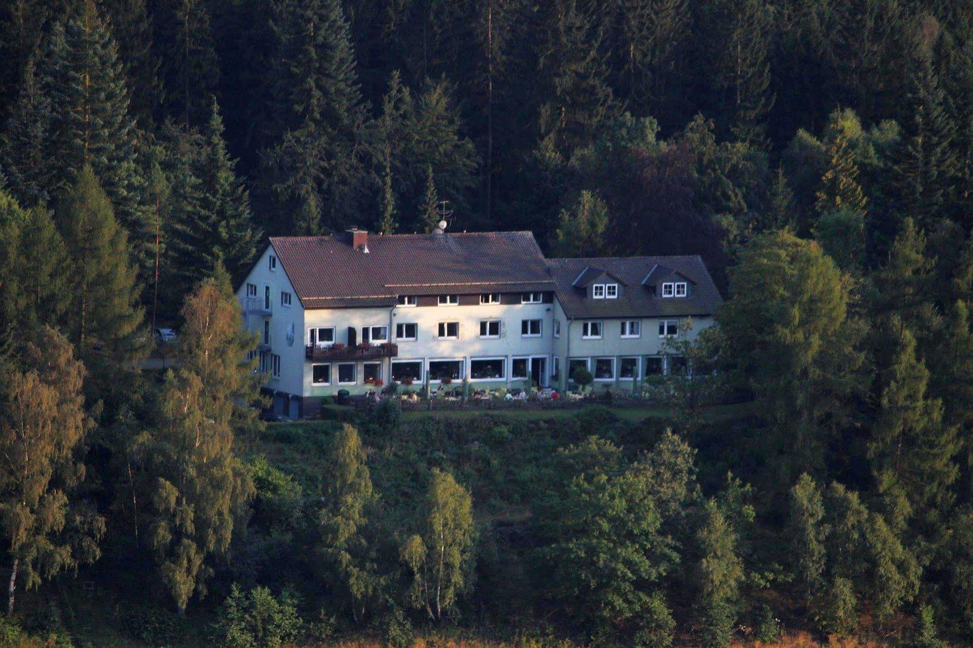 Hotel Berghof Am See Lautenthal エクステリア 写真